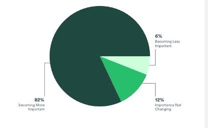 How important is video content